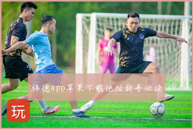 伟德app苹果下载地址新手必读